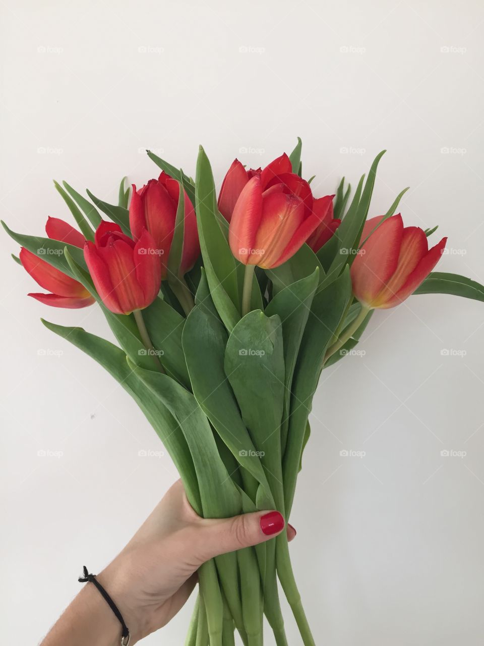 Tulips