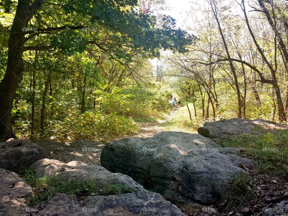 Rocks to Trail