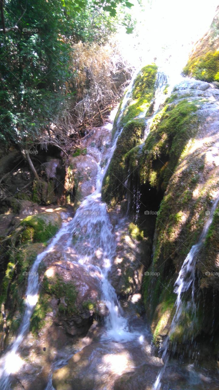 Nature, Water, Waterfall, Wood, Leaf