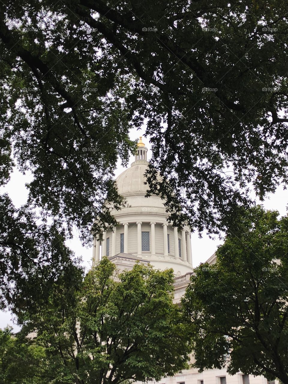 Framed by the lush green foliage of trees the Arkansas State Capital Dome and its lustrous golden tip cupola stands against a gray Monday morning. 