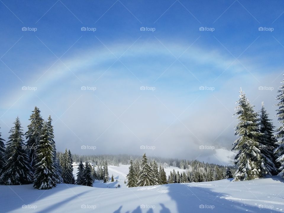 Rainbow over the Black Forest in Germany