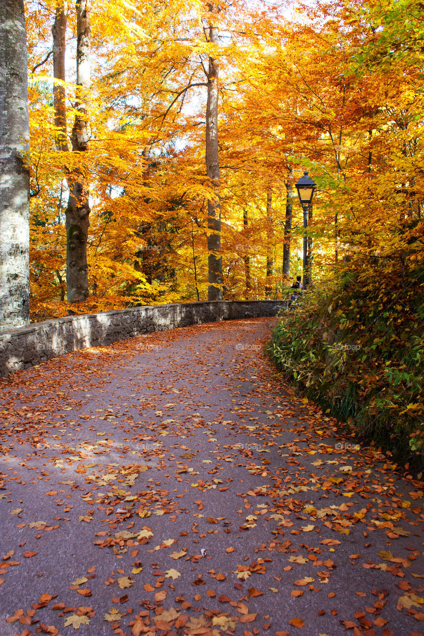 Autumn in Bavaria