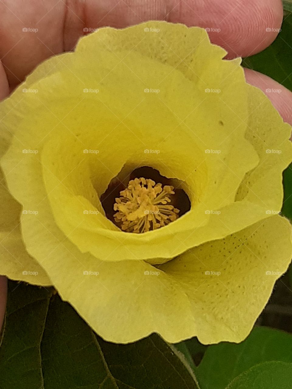 Abrindo-se para felicidade