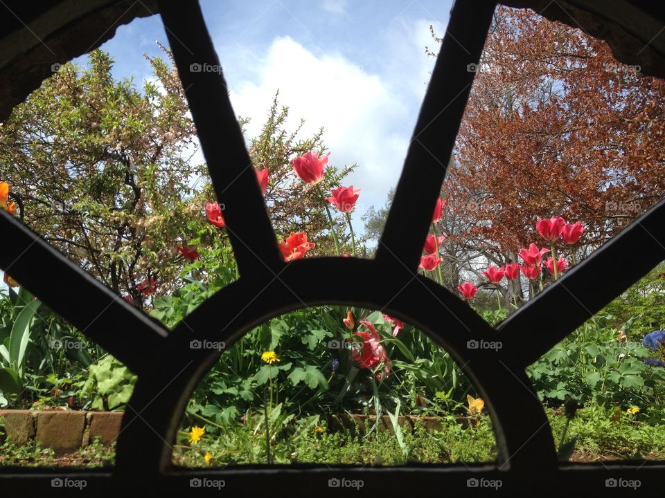 View Thru Window Under Monticello