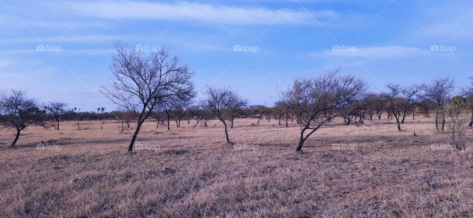 An amazing evening raid in to the forest...Such a beautifull view..The woods