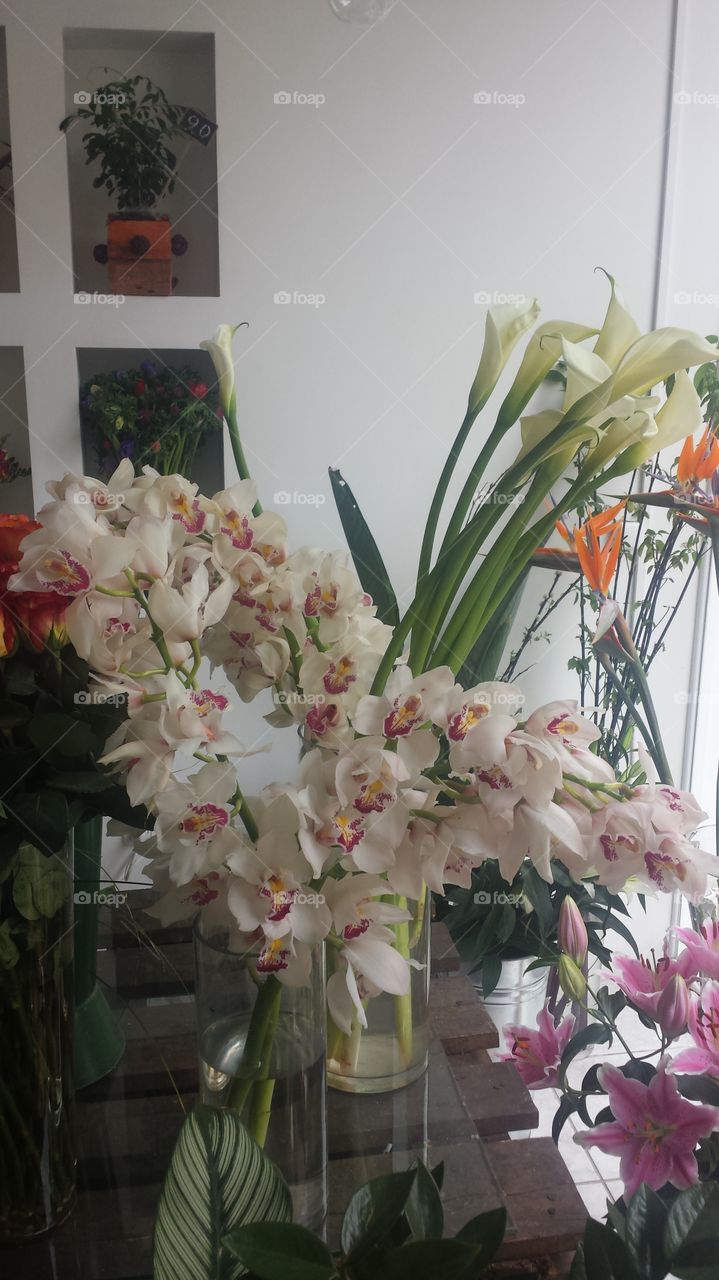 Flower, Vase, Bouquet, Flora, No Person