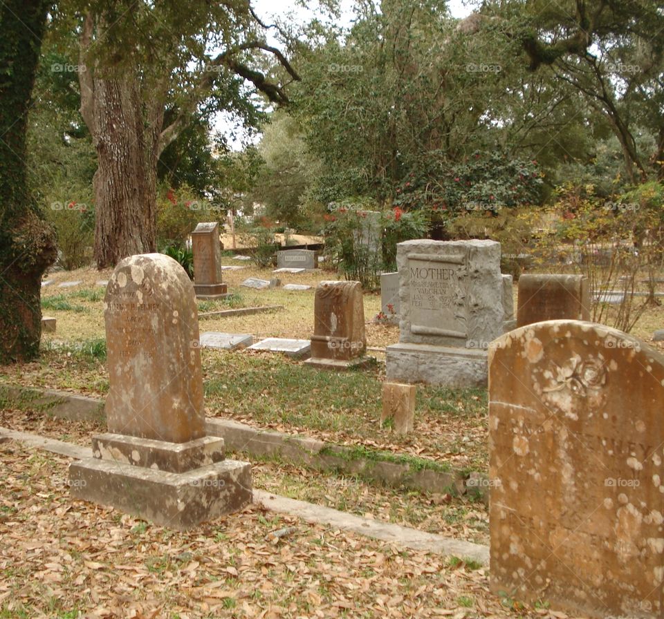 Old graveyard