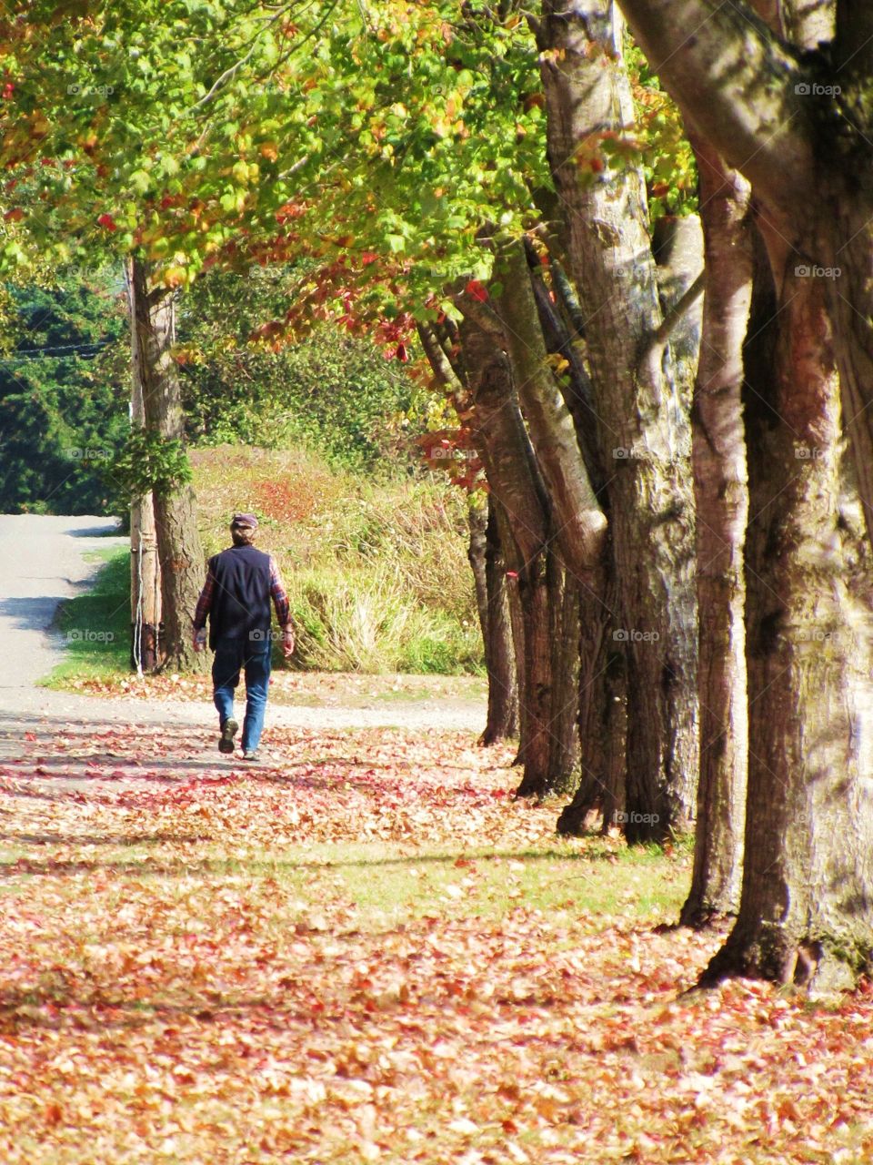 Walking in the fall
