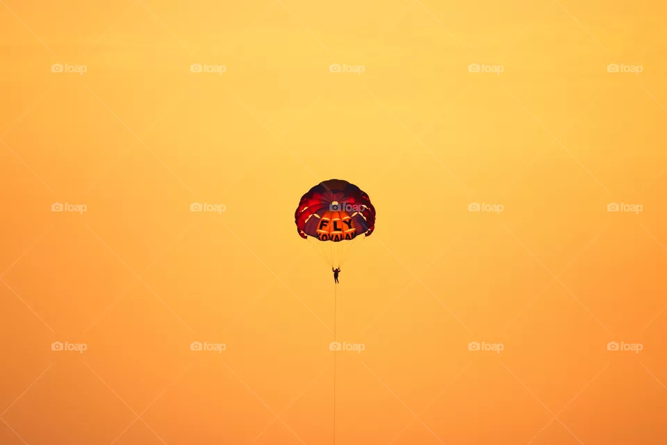 fly