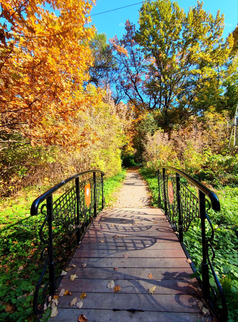 Autumn day.  Wooden bridge. Path to the park.  Multicolored trees.  Blue sky
