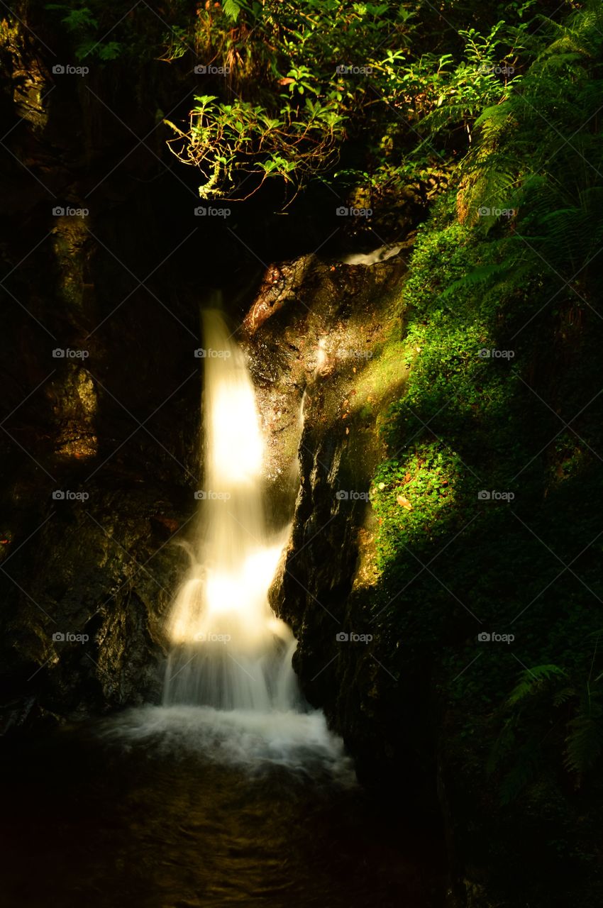 High angle view of waterfall