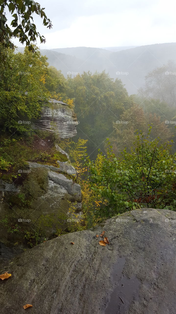 Foggy Mountaintop