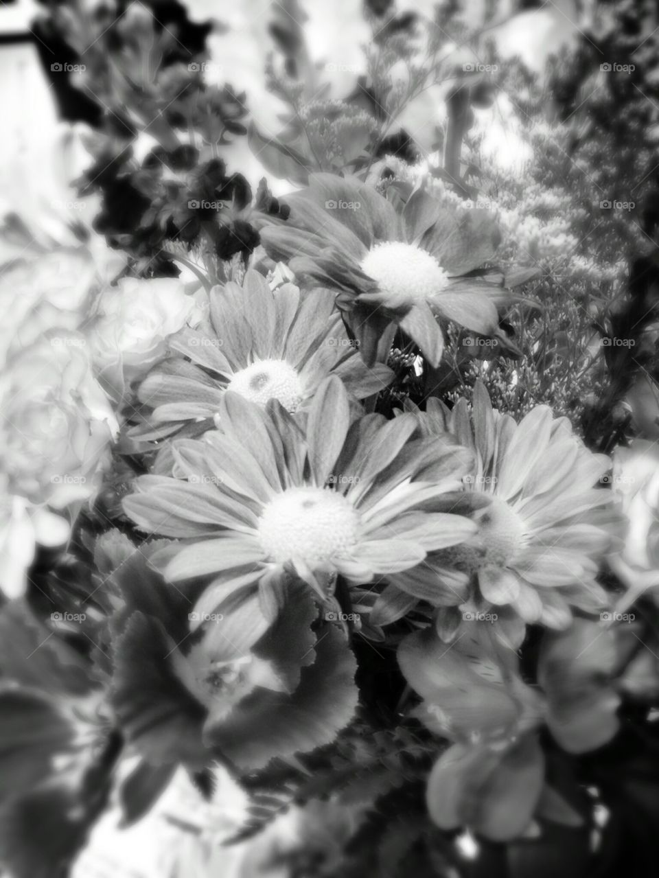 flowers black and white