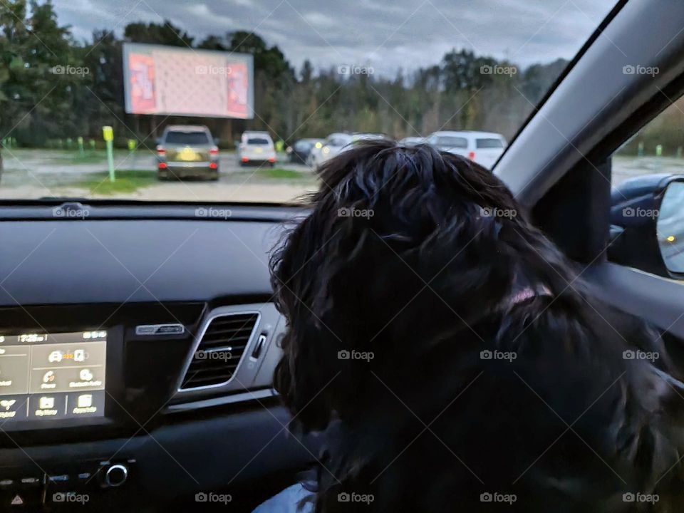 Drive-In Movie Time