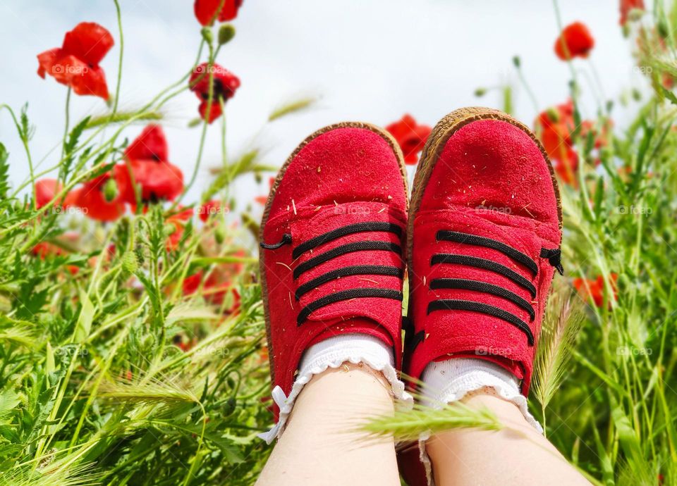 Spring bloom in red