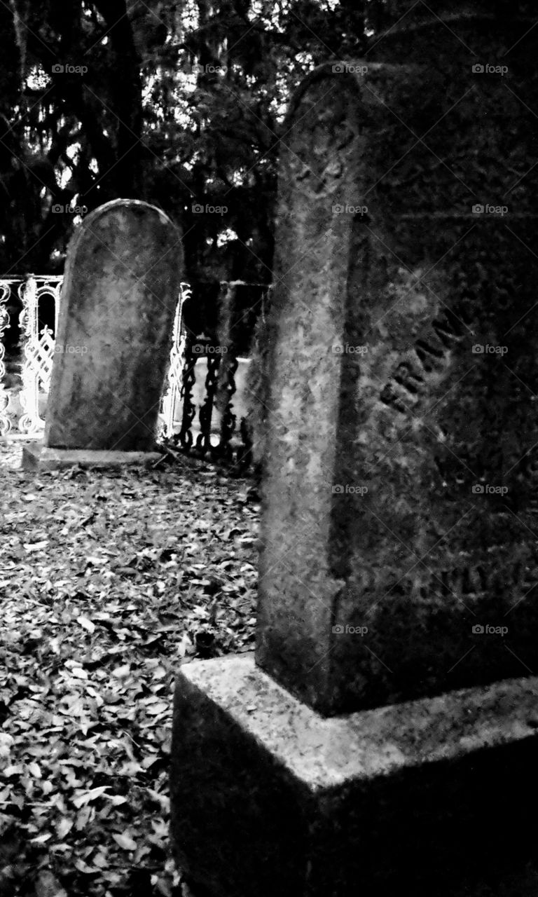 night in the graveyard