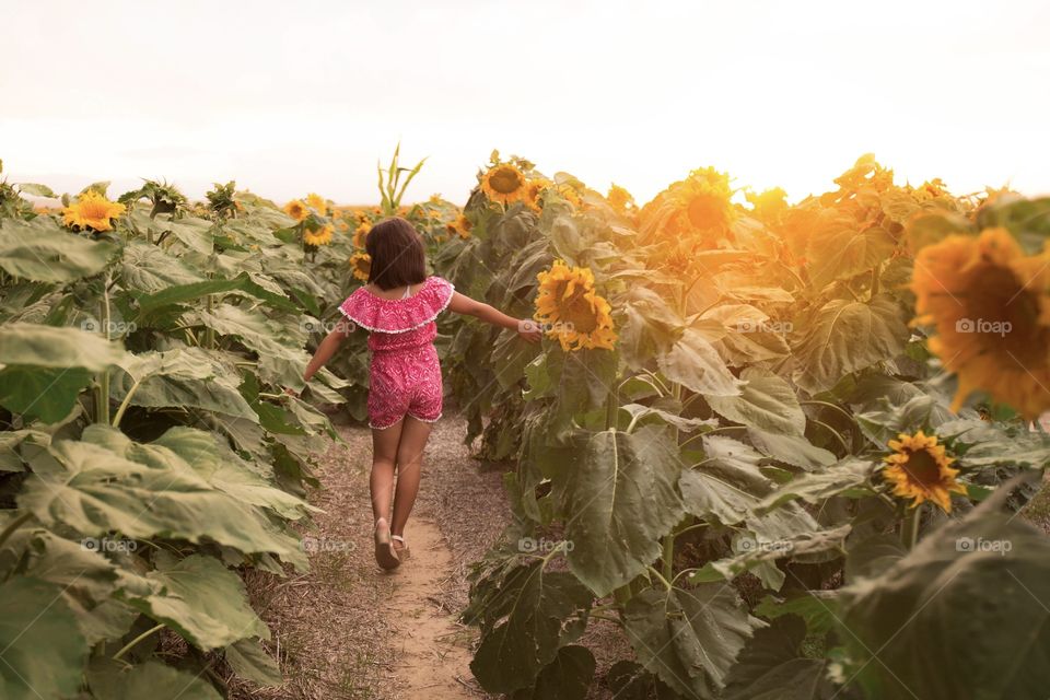 Girl enjoying summer on a sunflower field 