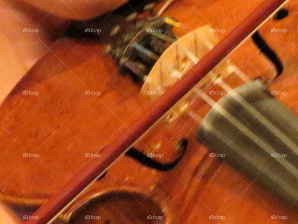 Wood, Violin, Classic, No Person, Instrument