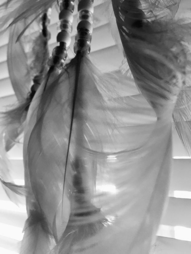 Feathers of a Dream 