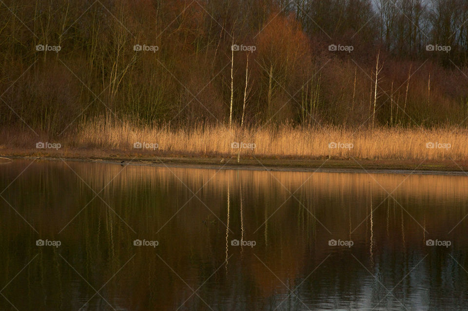 Reflection, Water, No Person, Lake, Landscape