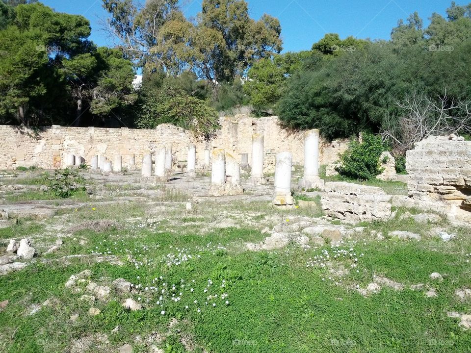 Sites archéologique de Carthage