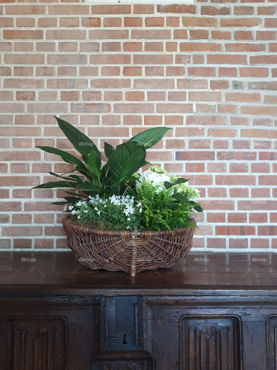 Pot with green flowers near brick wall