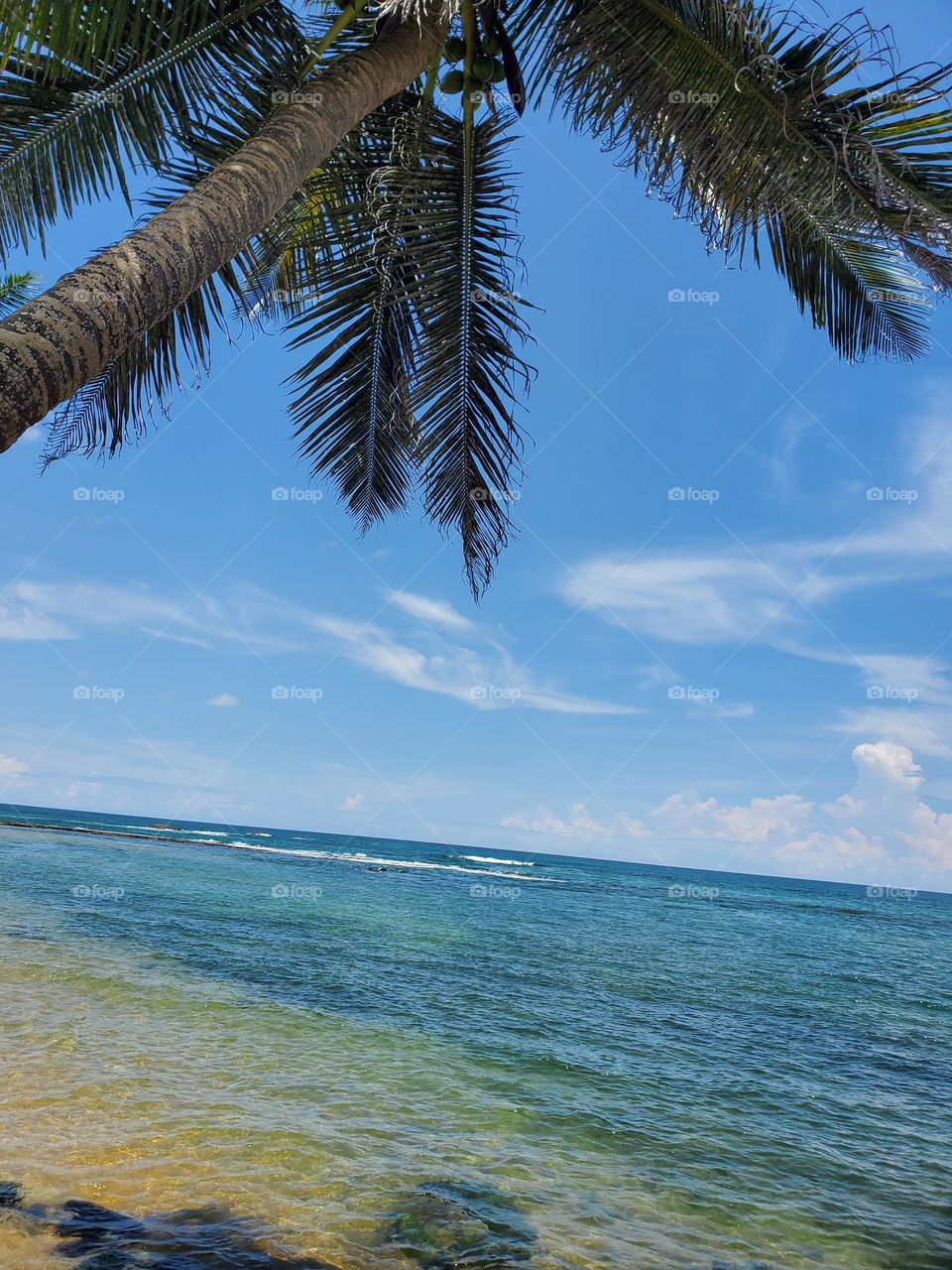 Caribbean indian ocean