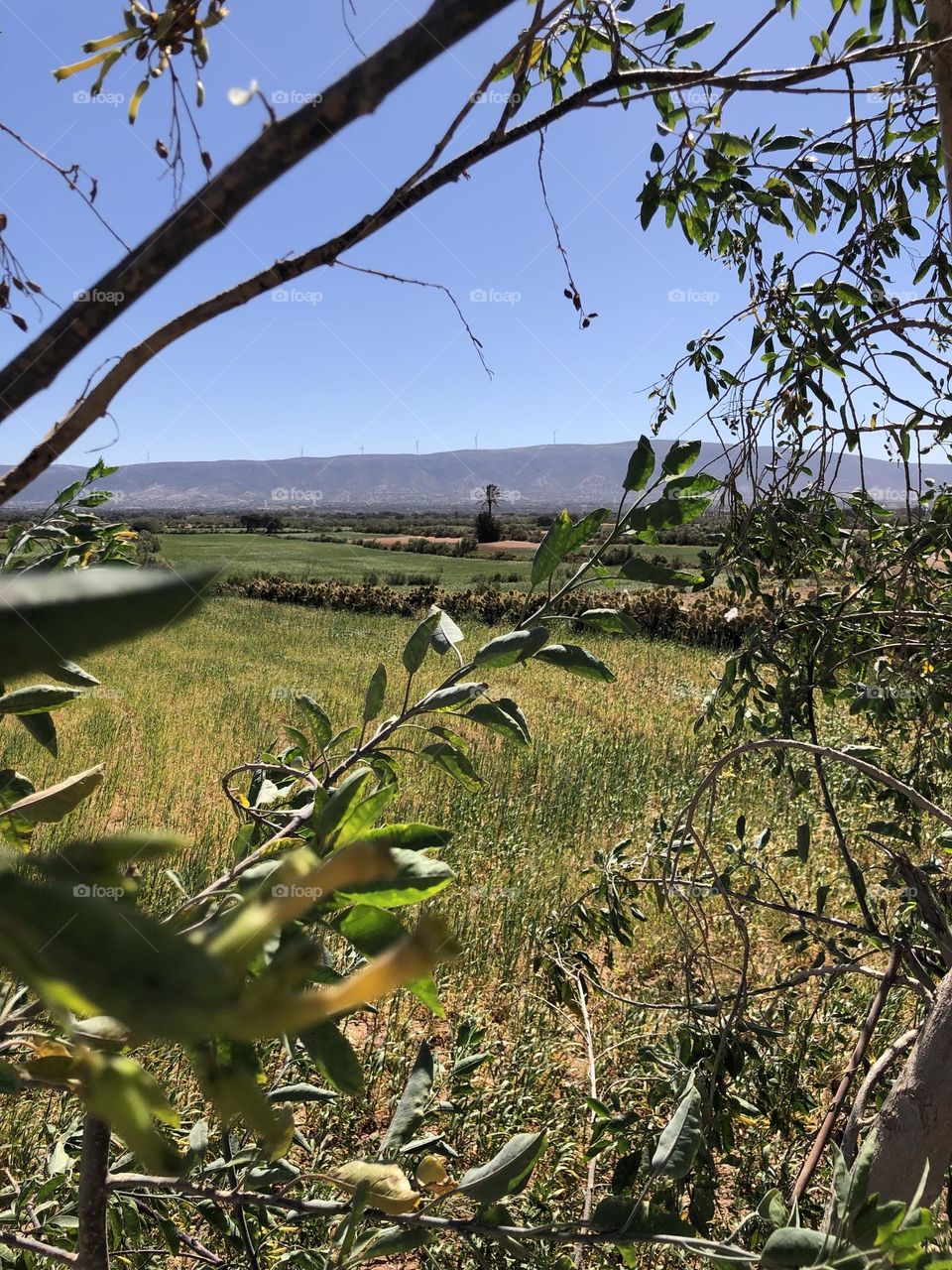 Beautiful field and view to landscape.