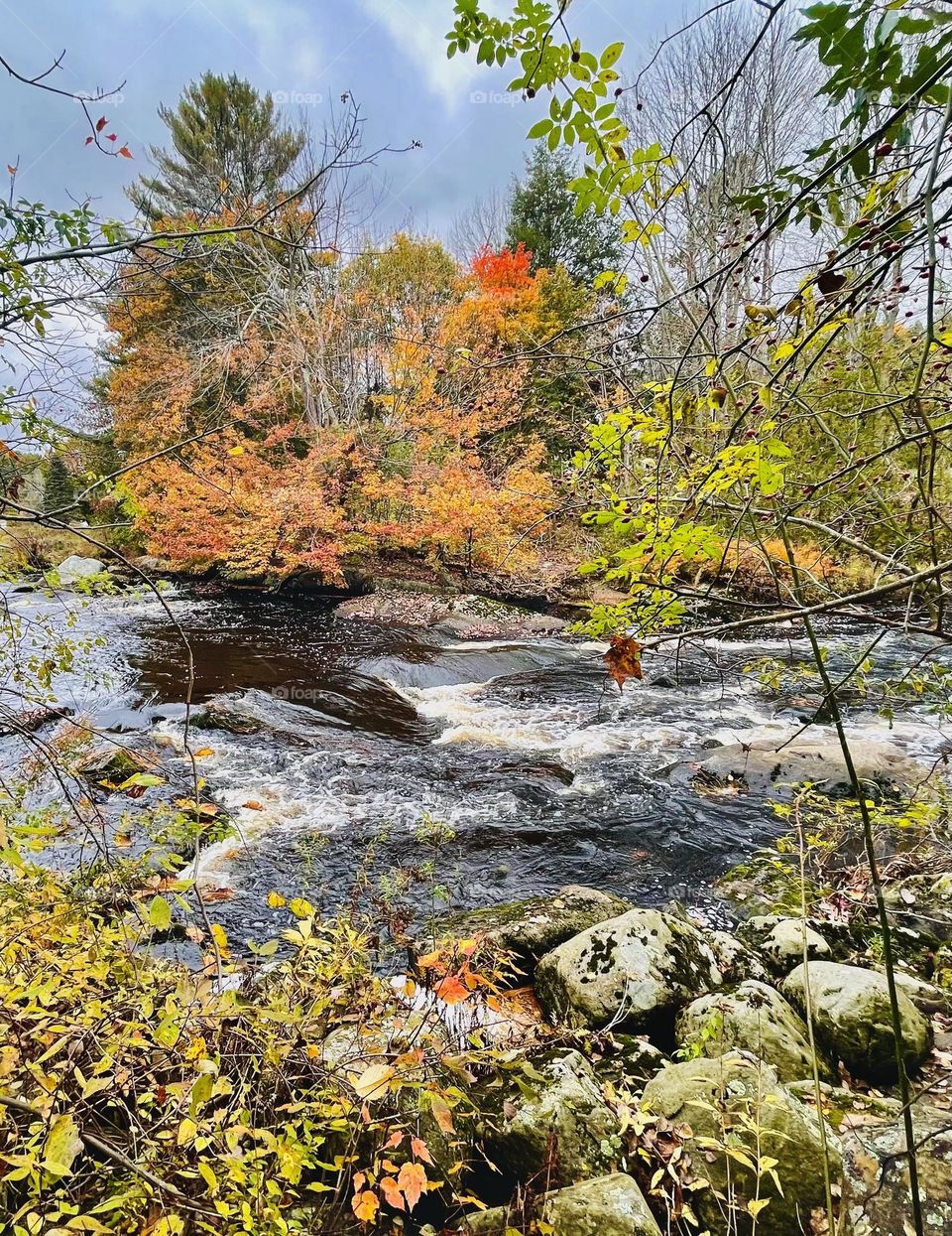 A river rushes over rocks and creates small rapids among the last trees of Autumn.