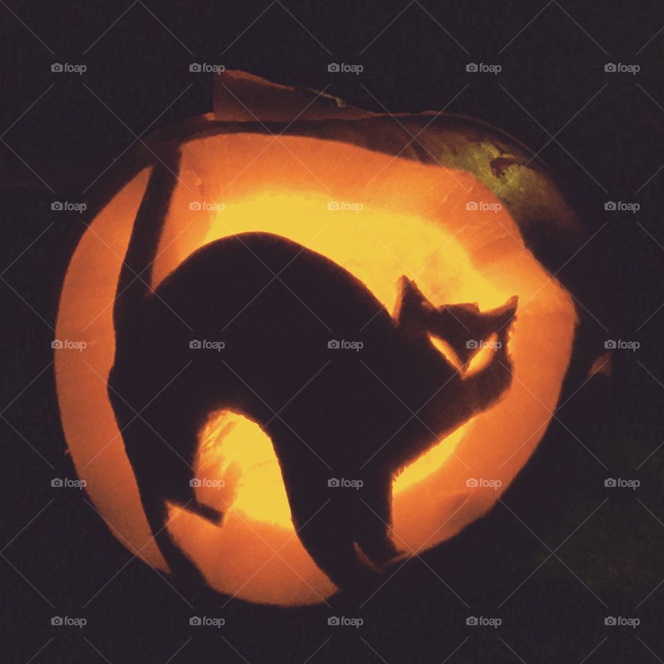 Halloween cat 