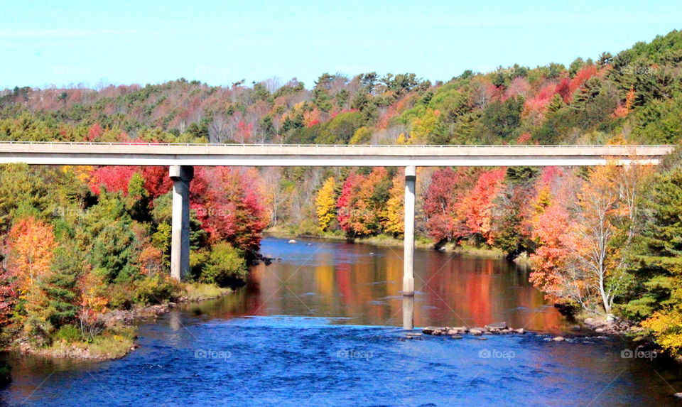 Fall in Canada