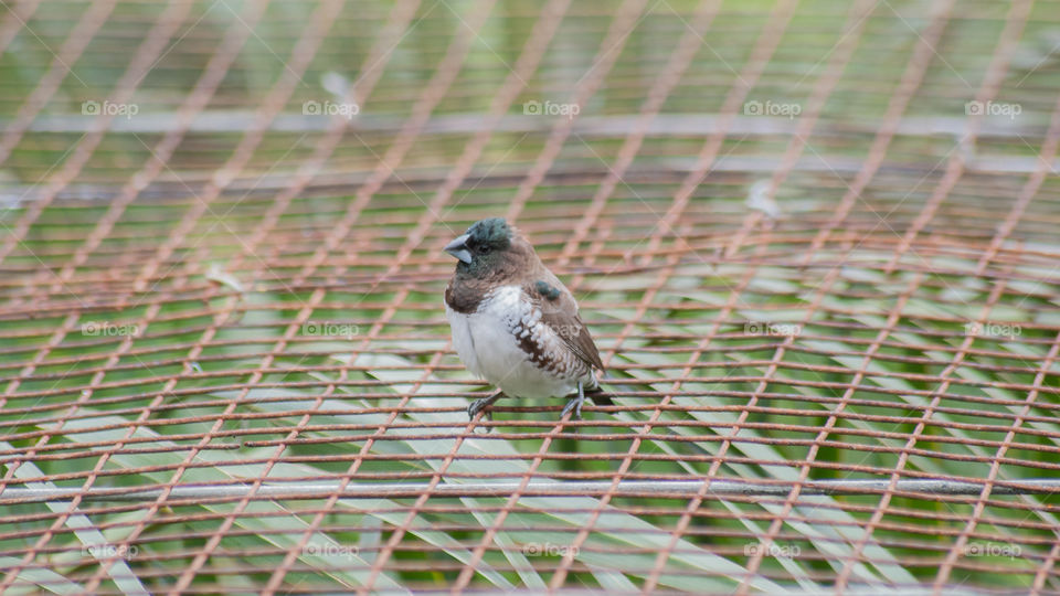 earth by humans seperation of nature