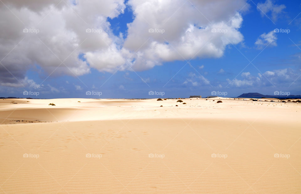 Sand dunes in desert at Corralejo