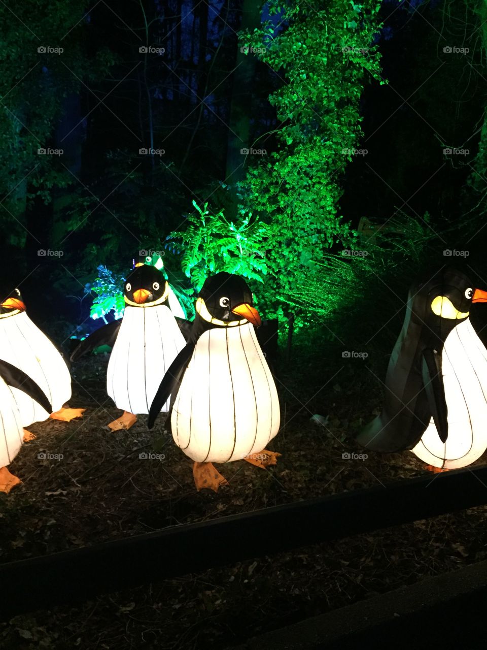 Illuminated pinguins in the bushes. This photo is taken at the zoo at a special "illuminated" evening where you find all kind of l"light giving" animals