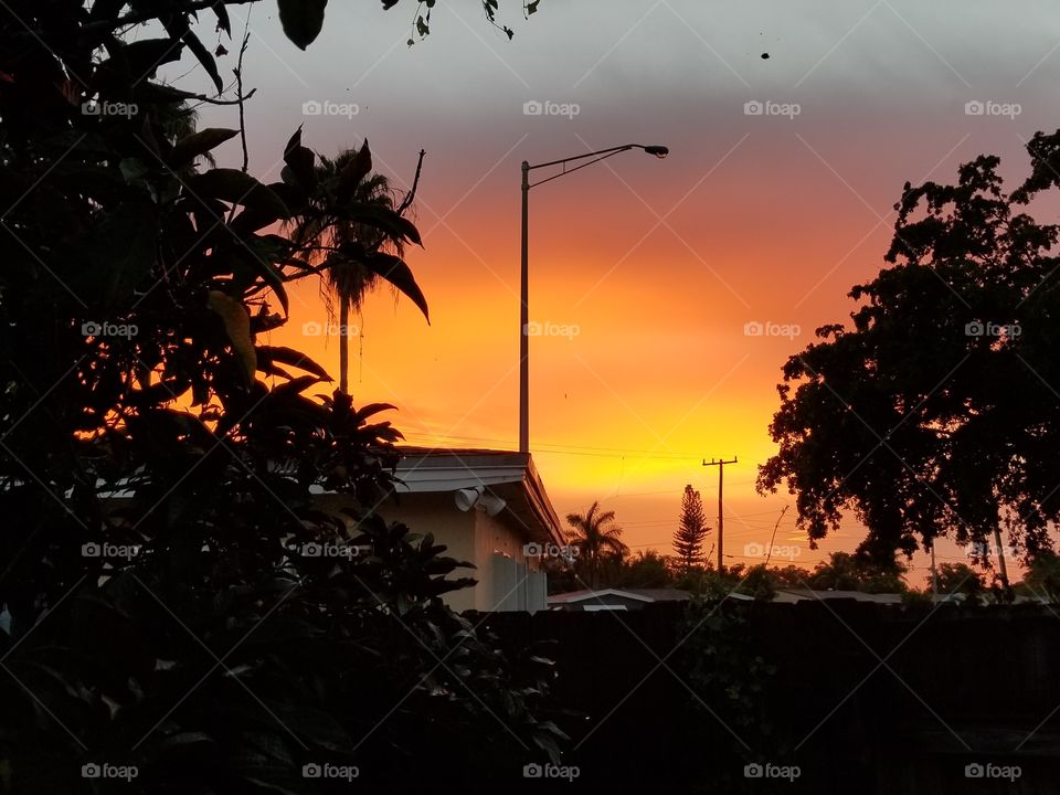 SoFlo Backyard Sunset