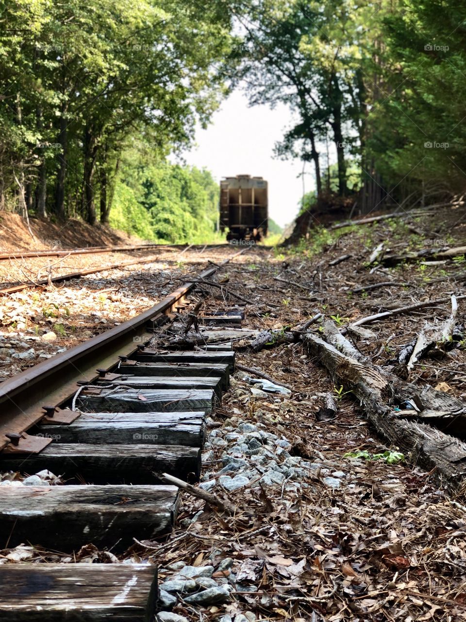 Foreground focus on old railroad tracks in woods with rusted parked train car in distance