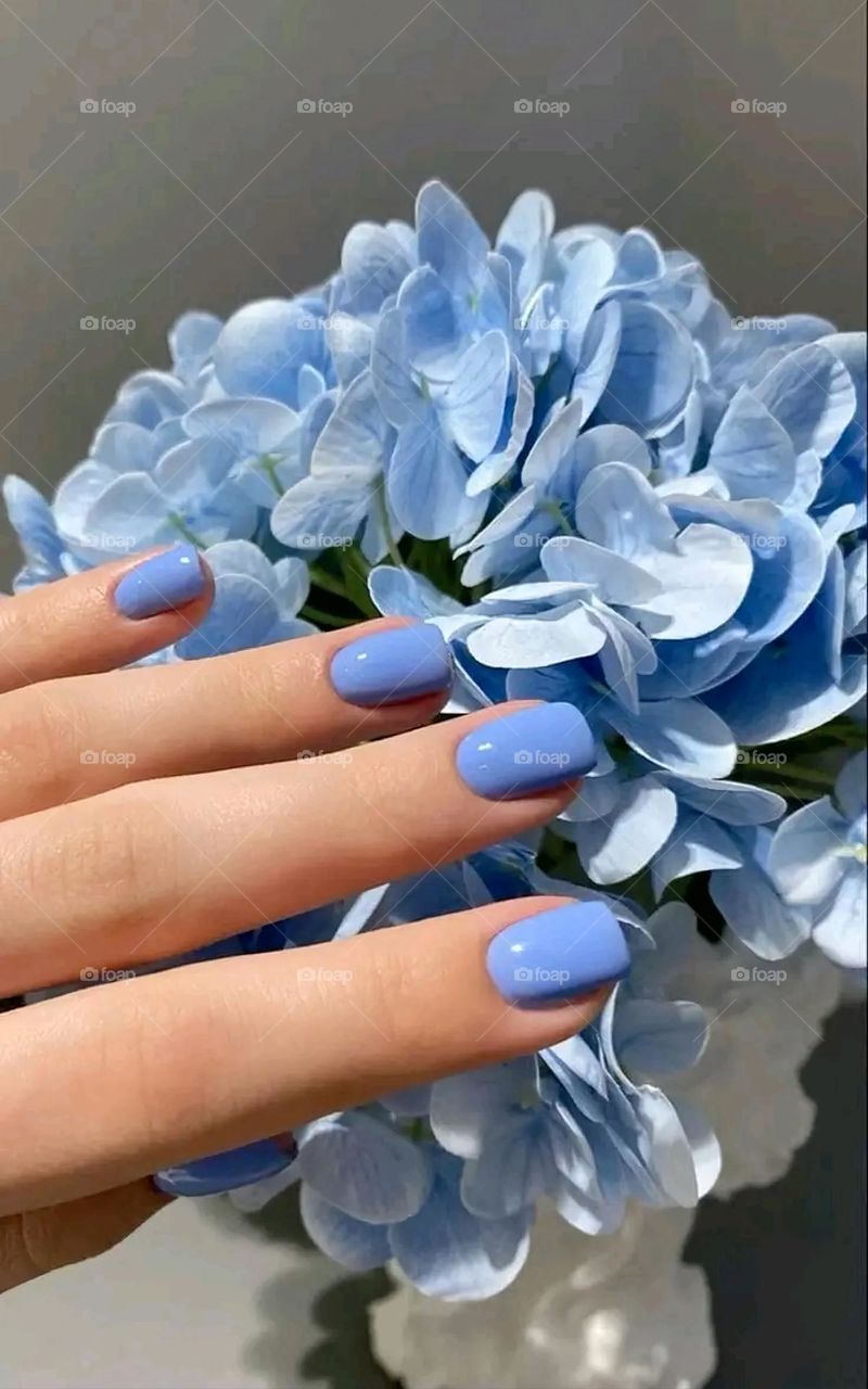 A very beautiful picture, and there is no better picture than it. There is no better picture of green herbs and colorful, red and white roses than it. Glory be to God, the natural and picturesque view, and there is no more wonderful picture than it.