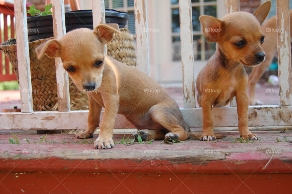 So now that we are out, what next.