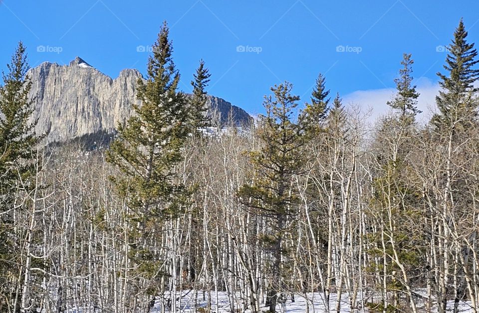 Mount Yamnuska Alberta
