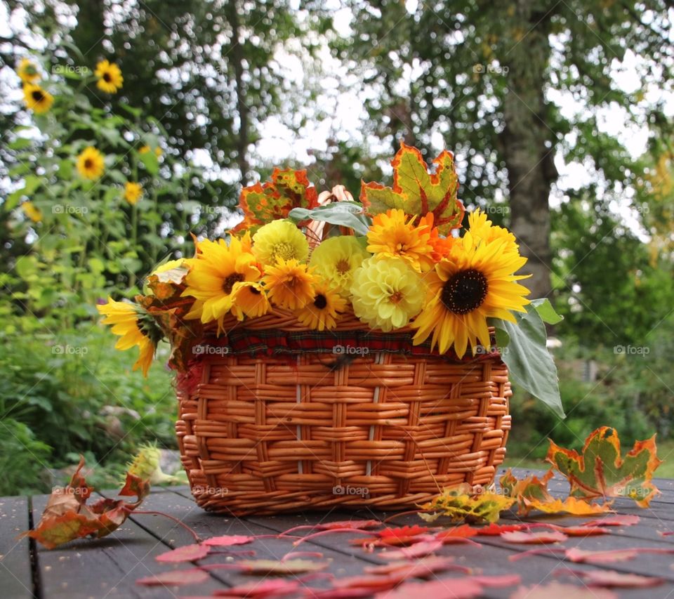 Autumn flowers