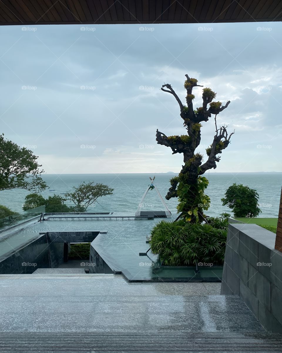 new modern swimming pool sea view