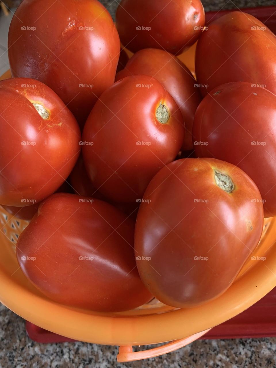 Basket of tomatoes