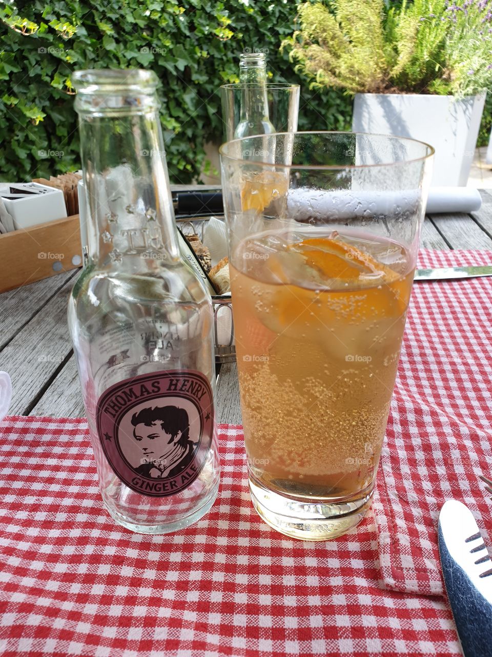 Palmengarten Frankfurt