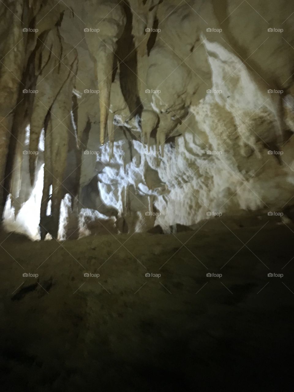 Stalagmites in Waitomo Cave in New Zealand 