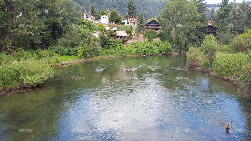 Wenatchee river oxbow