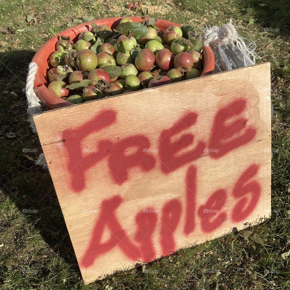 Free Apples