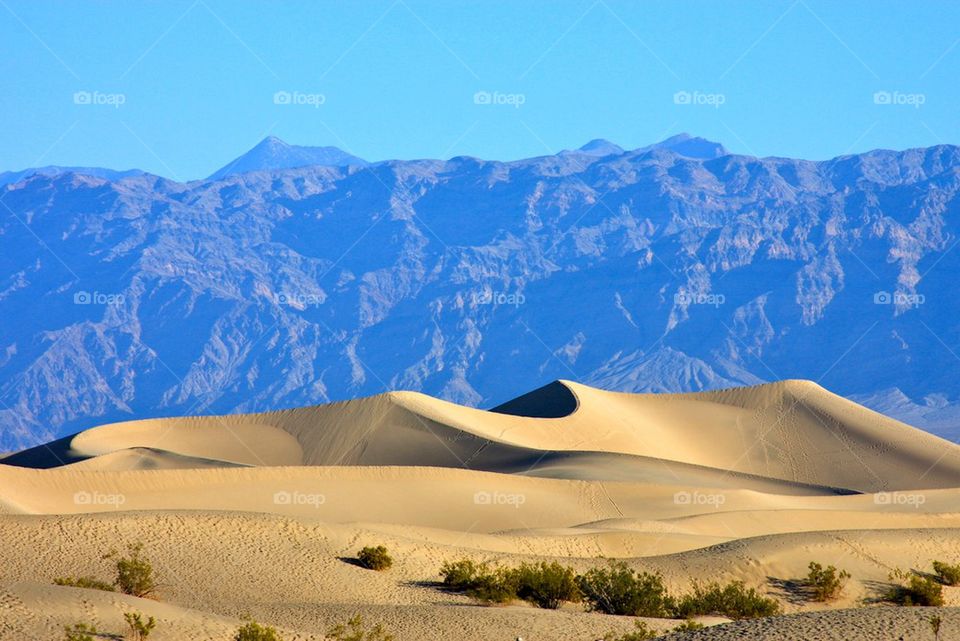 Scenic view of desert