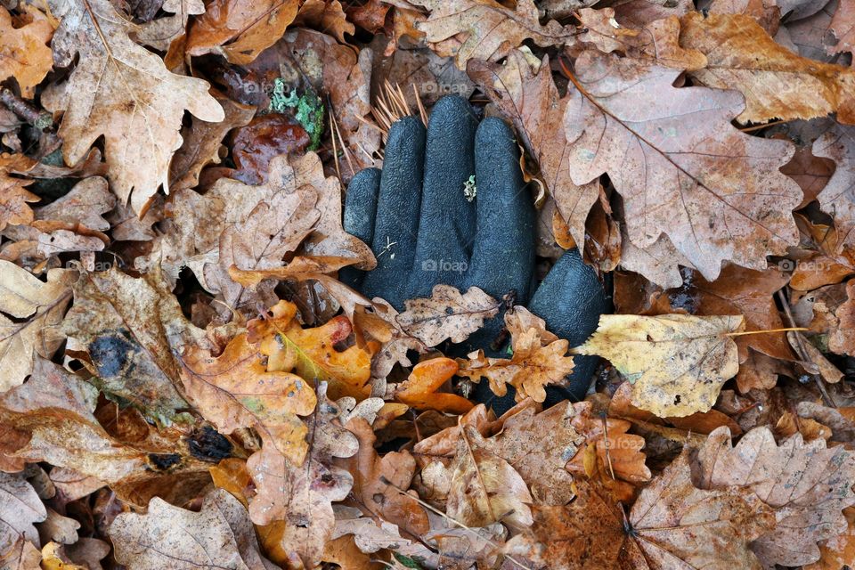 Abandoned glove