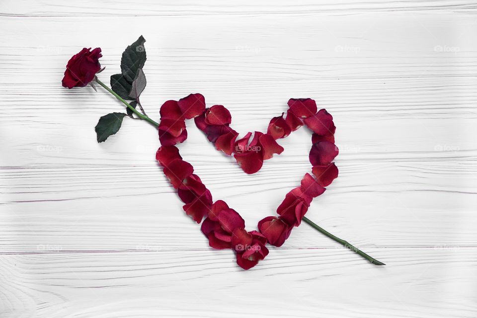 Valentine’s Day gift love heart rose 