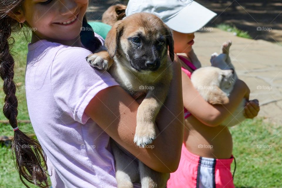 Children Walking and Enjoy Time in Park with Dogs